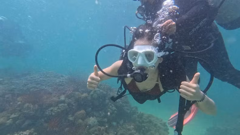 Scuba diving to explore coral reefs in Co To, Quang Ninh