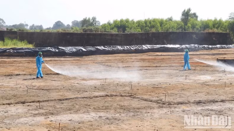 Workers are managing dioxin remediation inside the Bien Hoa Airport area.