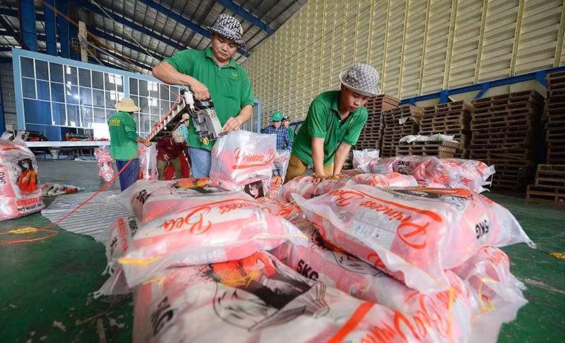 Packing rice for export at Chon Chinh Co., Ltd. (Dong Thap). (Photo: TRAN QUOC)