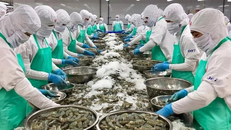 Shrimp is one of Vietnam's important seafood exports to the US. (Illustrative image)