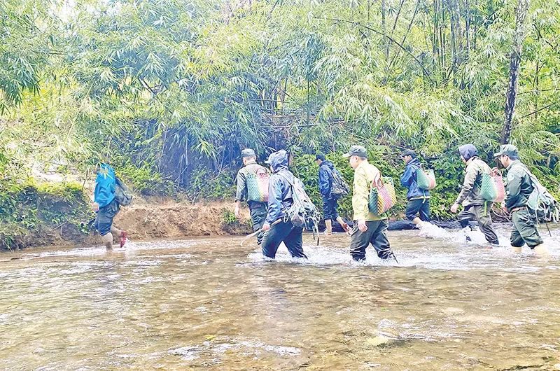 The Save Vietnam’s Wildlife (SVW) Centre, in coordination with the rangers of Cuc Phuong National Park, releases wildlife back into the wild. (Photo: SVW)