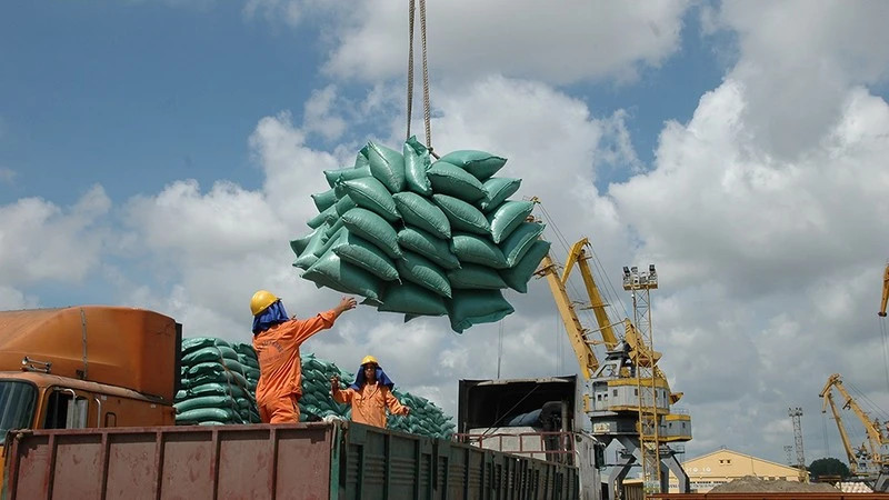 Since early 2025, Vietnam’s rice export prices have continued to fall significantly. (Illustrative image)