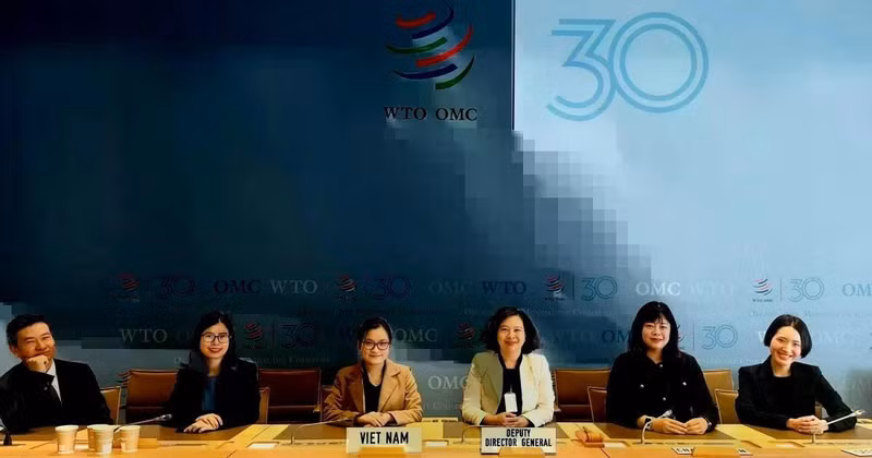 The Vietnamese delegation attends the WTO Committee on Rules of Origin's regular session (Photo: Agency of Foreign Trade)