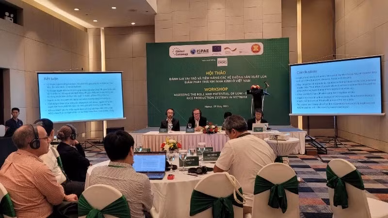 Delegates attend the workshop.