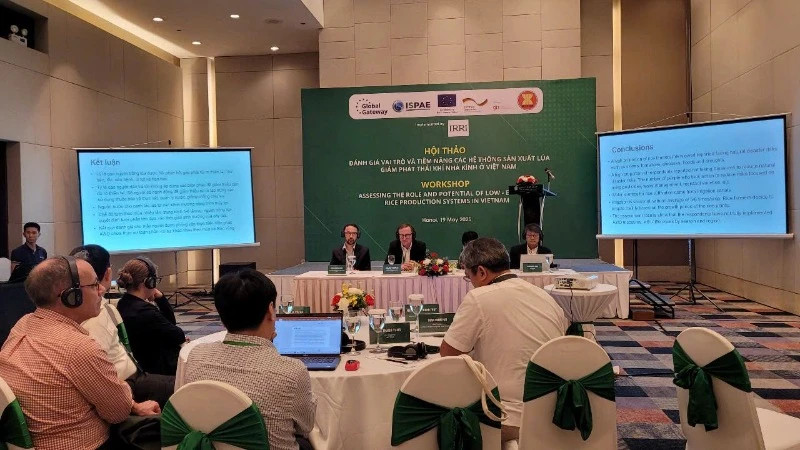 Delegates attend the workshop.