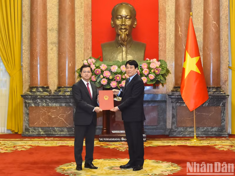 President Luong Cuong presents the Decision on conferring the title of Ambassador of the Socialist Republic of Vietnam, Level I, to Ambassador of the Socialist Republic of Vietnam to the Republic of India Nguyen Thanh Hai.