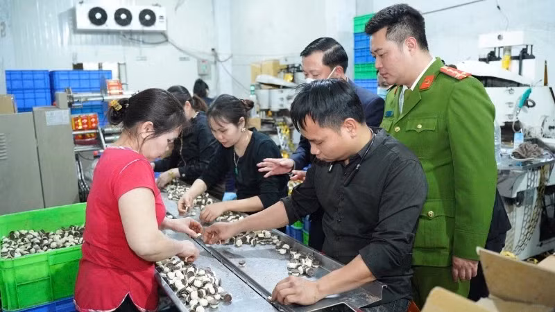 Authorities inspect food safety assurance efforts in Ha Noi.