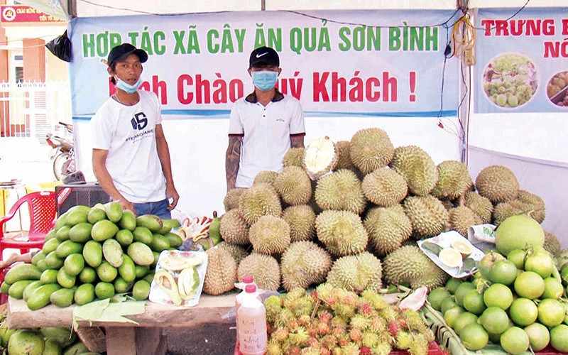 A fruit stall at the Khanh Son Fruit Festival, Khanh Hoa Province. (Photo: PHONG NGUYEN)
