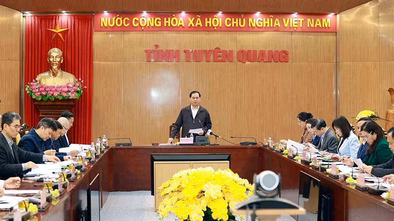 Deputy Prime Minister and Foreign Minister Bui Thanh Son speaks at the meeting. (Photo: NDO)