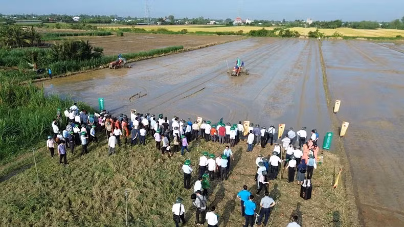 Tien Giang province implements the 'One million hectare of high-quality rice project'.