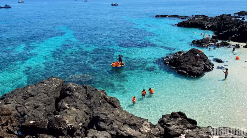 Basket boat rides offer not only fun but also a chance to approach shallow coral areas and explore marine life.