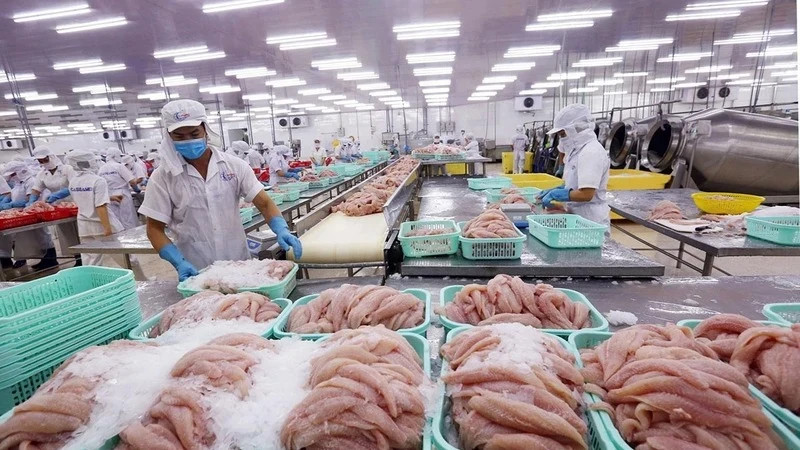 Despite being a source of national pride and a major export to over 140 countries, pangasius has yet to earn its rightful place on the Vietnamese dining table.