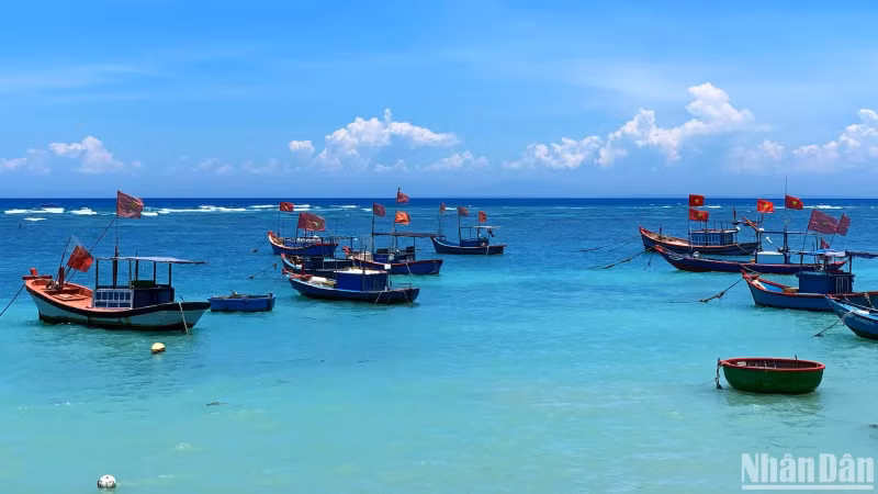 Fishing boats depart daily, bringing back fresh bounty from the sea to sustain island life.