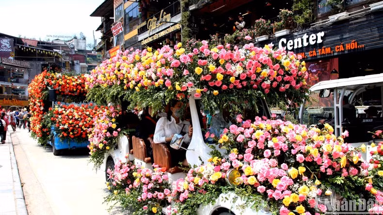 Cars with roses parade on the streets of Sapa. (Photo: Quoc Hong) Cars with roses parade on the streets of Sapa. (Photo: Quoc Hong)