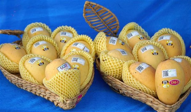 Illustrative image (Photo: VNA)