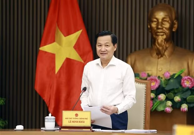 Deputy PM Le Minh Khai addresses the teleconference. (Photo: VNA)