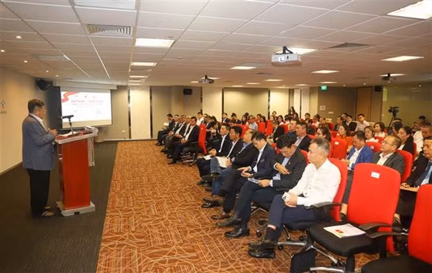 A view of the seminar (Photo: VNA)