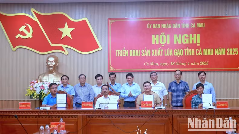 Rice enterprises sign a cooperation agreement on production chain linkage at the conference, witnessed by local authorities.