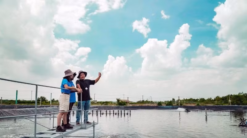 Aquaculture experts exchange experiences at a shrimp research farm, Can Gio district, Ho Chi Minh City. (Photo: THUC KHUE)