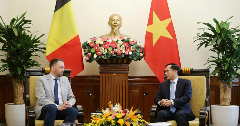 Deputy Prime Minister and Minister of Foreign Affairs Bui Thanh Son (R) and Belgian Deputy Prime Minister and Minister of Foreign Affairs, European Affairs, and Development Cooperation Maxime Prevot at their meeting in Hanoi on March 31 (Photo: VNA)