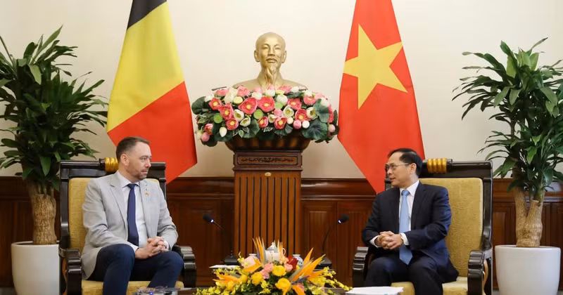 Deputy Prime Minister and Minister of Foreign Affairs Bui Thanh Son (R) and Belgian Deputy Prime Minister and Minister of Foreign Affairs, European Affairs, and Development Cooperation Maxime Prevot at their meeting in Hanoi on March 31 (Photo: VNA)