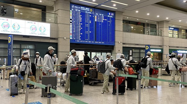 More than 50,960 labourers are sent to the RoK in the first 10 months (Photo: VNA) 