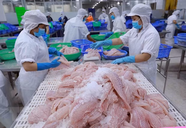 Export of agro-forestry-aquatic products down 9.5% in eight months - Illustrative image (Photo: VNA)