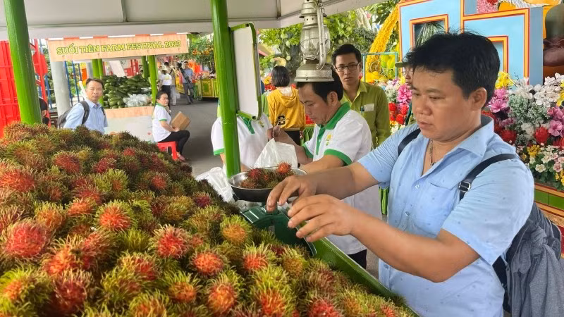 Visitors at the festival