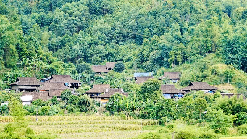 Kim Hy Commune is now home to 123 traditional stilt houses of Tay ethnic group 
