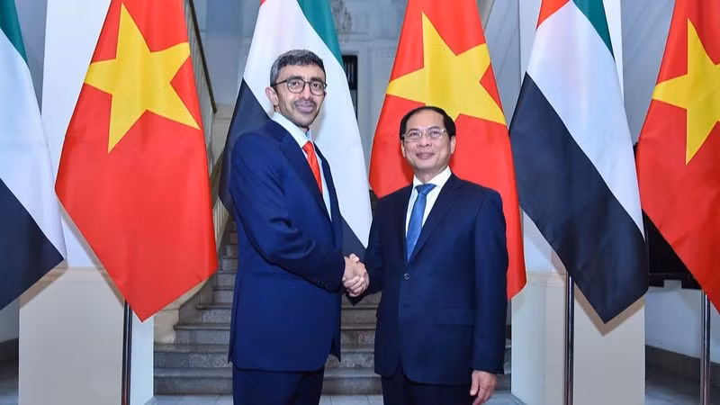 Minister of Foreign Affairs Bui Thanh Son (R) and his visiting counterpart from the United Arab Emirates (UAE) Sheikh Abdullah bin Zayed Al Nahyan (Photo: MOFA)