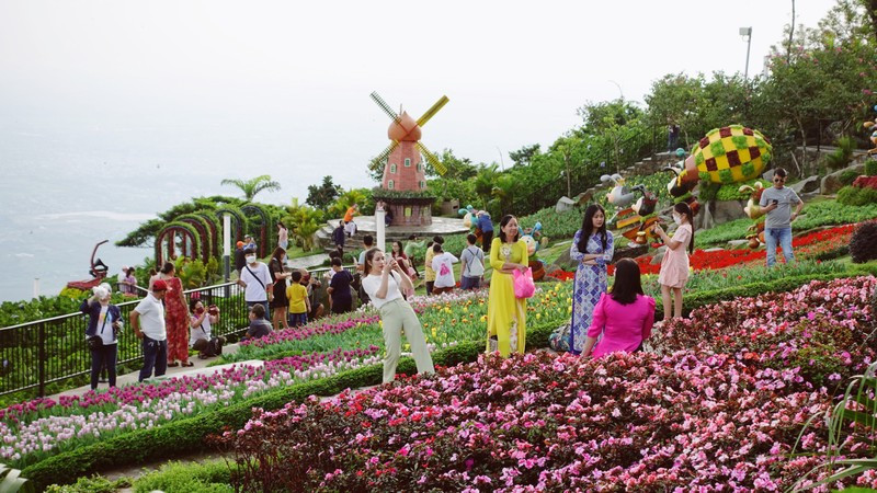 Ba Den Mountain: A brilliant paradise of flowers