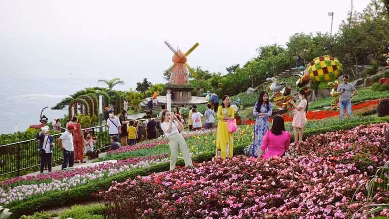 Ba Den Mountain: A brilliant paradise of flowers