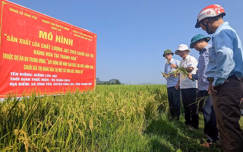 Centre in Vinh Yen Commune, Vinh Loc District, Thanh Hoa Province. (Photo: Trong Minh)