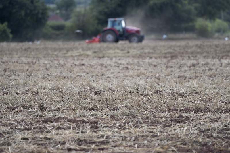 A drought-affected farm field in Staffordshire, Britain. (Photo: Xinhua)