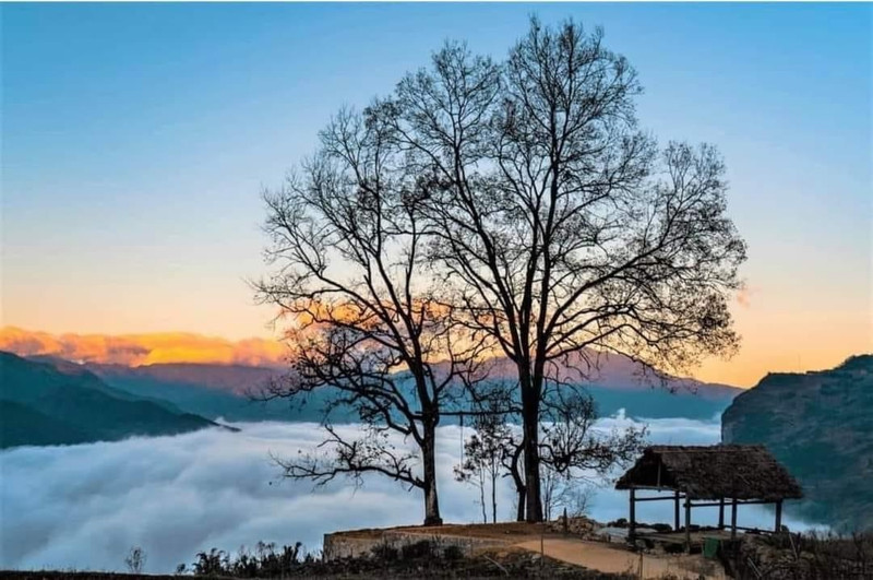 A popular check-in place in Choan Then is two “happy" chestnut trees (Photo: baodantoc.vn)
