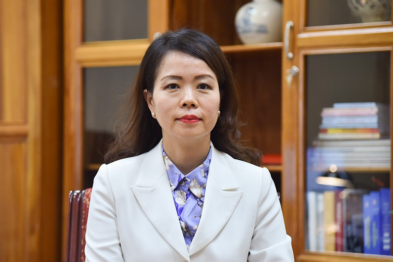 Deputy Foreign Minister Nguyen Minh Hang 