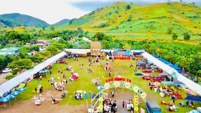 The 2024 Wild Sunflower Week - Chu Dang Ya Volcano Gia Lai is held from November 6 to 12.