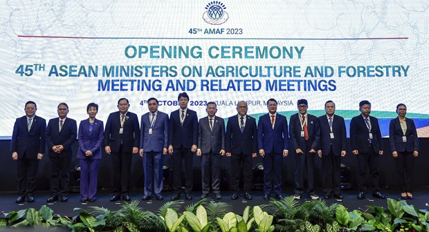 Delegates to the meeting in a group photo. (Photo: VNA)