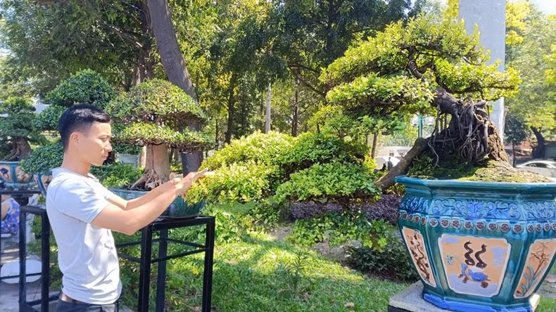 The works at the exhibition are carefully selected, showing the power and potential of Vietnam's ornamental plants. The works at the exhibition are carefully selected, showing the power and potential of Vietnam's ornamental plants.