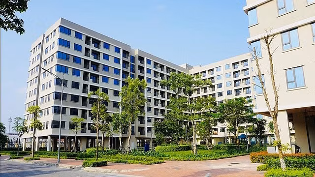 Orientation to build social housing