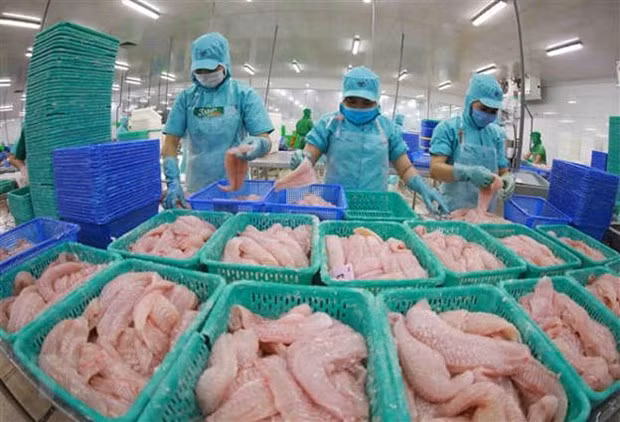 The agro-forestry-fishery sector has made new export records in 2022. (Photo: VNA)