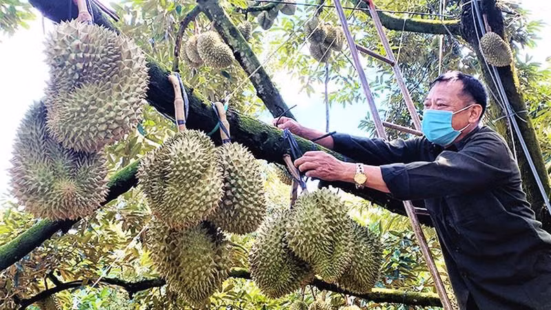 Illustrative image (Photo: NDO)