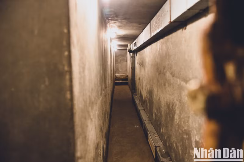 The basement is 3m deep underground and about 1m wide. The two sides of the tunnel are poured with concrete, while the ceiling is concreted with steel mesh. The space in the middle of the basement is about 10m2 wide for editing and sketching daily newspapers. The entire surface of the tunnel is covered with soil.