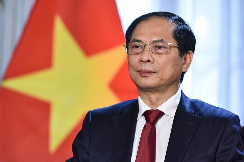 Foreign Minister Bui Thanh Son (Photo: MoFA) 
