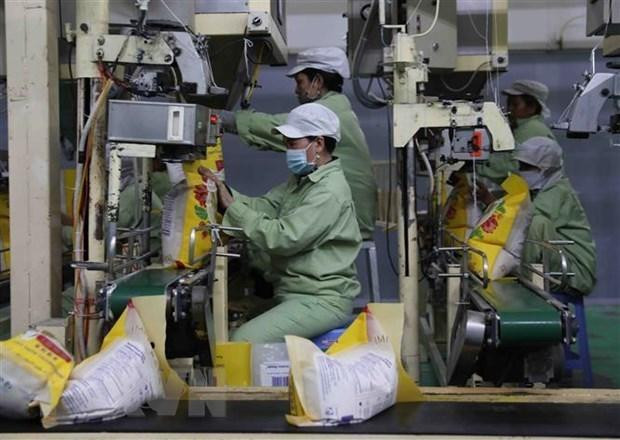 A rice processing plant in Vietnam. (Photo: VNA)