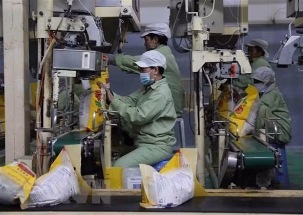 A rice processing plant in Vietnam. (Photo: VNA)