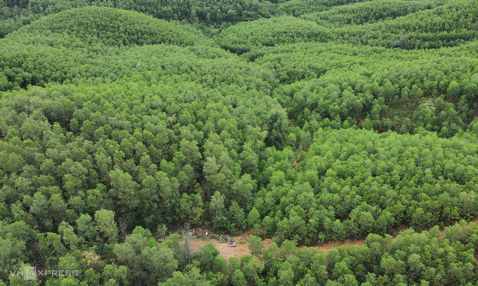  Forest in Quang Tri Province in central Vietnam. (Photo: VnExpress/Hoang Tao)