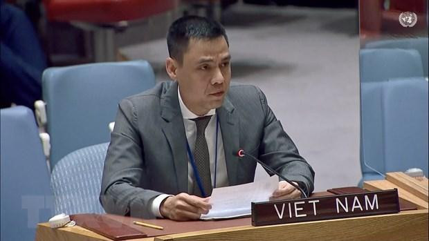 Ambassador Dang Hoang Giang, Permanent Representative of Vietnam to the UN (Photo: VNA)