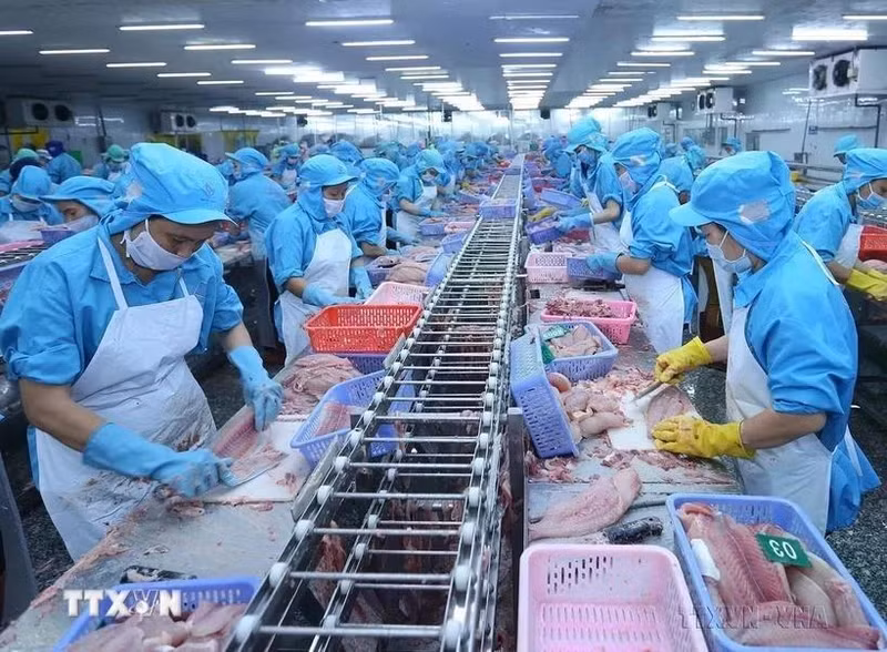 Seafood processed for export (Photo: VNA)