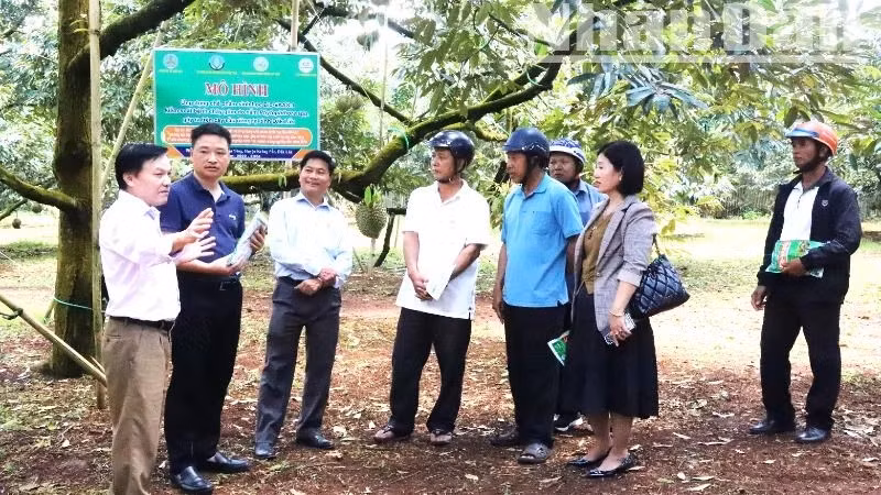 Dak Lak Province's economy is mainly focused on agriculture. The development of circular agriculture is an urgent practical requirement and suitable for current trends.